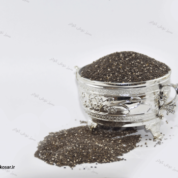 دانه چیا